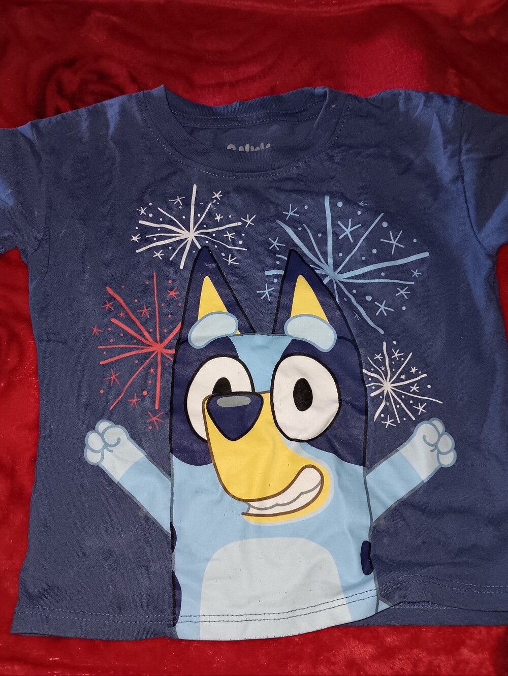 Bluey Shirt For 2T Toddler